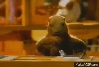 La marmotte met le chocolat dans le papier d’alu…