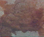 Peinture rupestre du Sahara